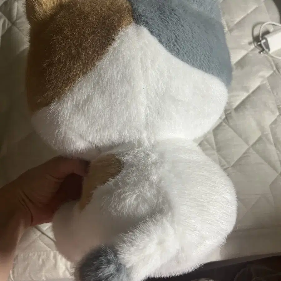 코네코짱 삼색이 고양이 27cm 인형