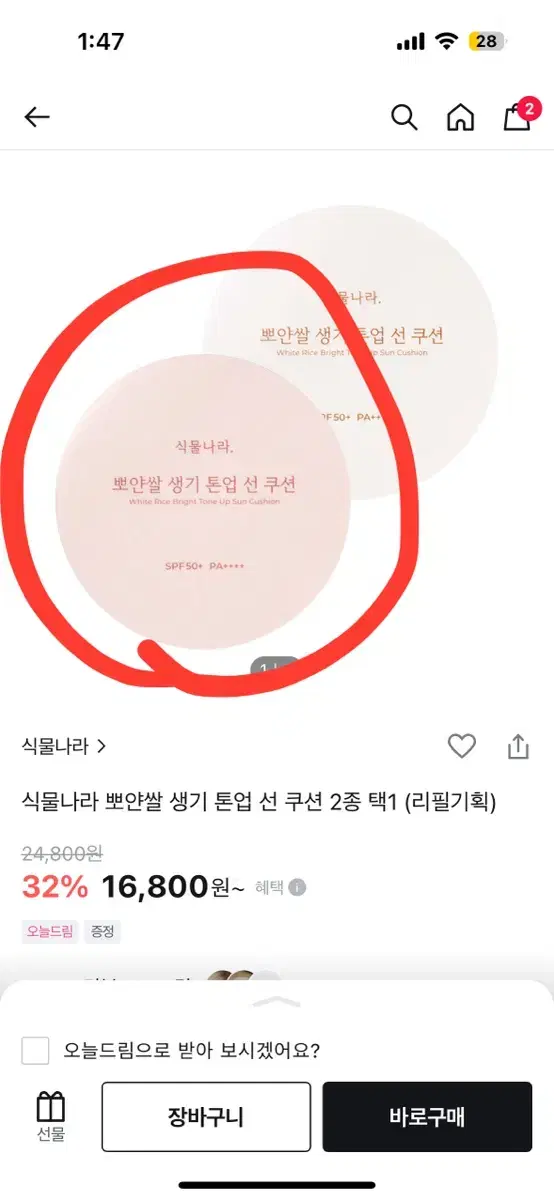 식물나라 톤업 선쿠션 +리필