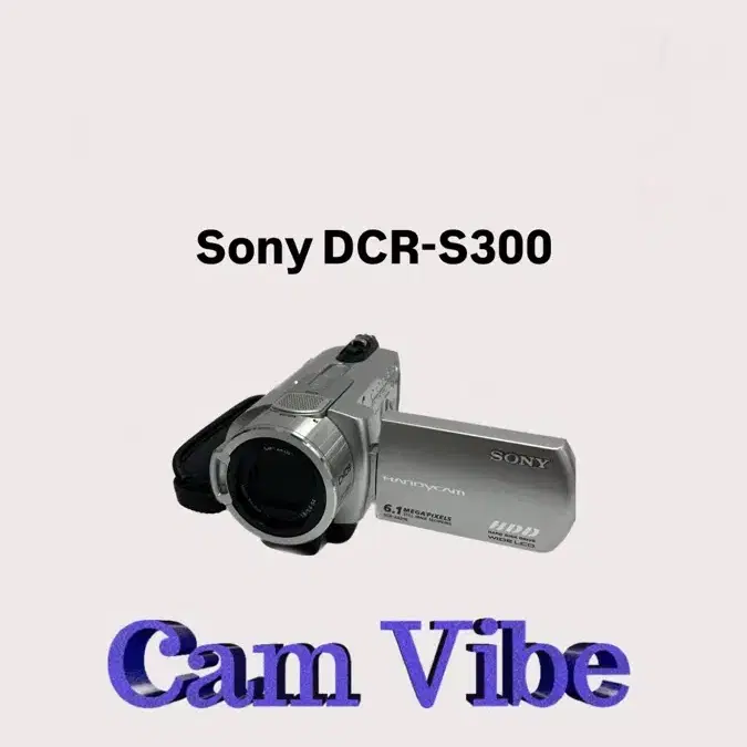 Sony DCR SR-300