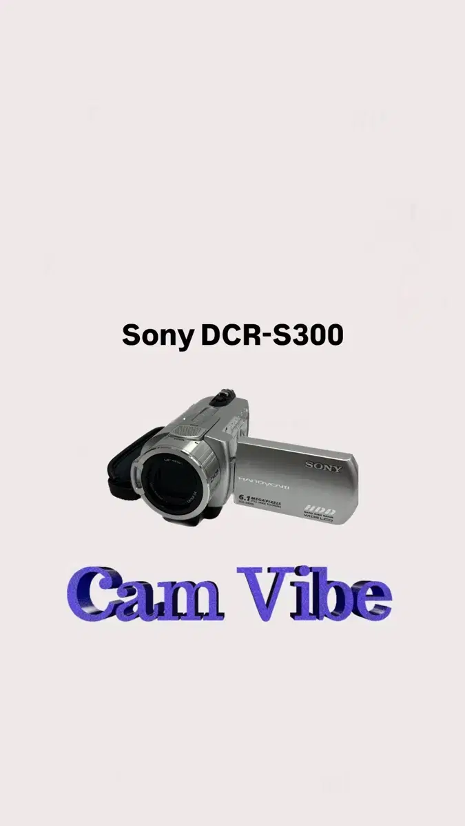 Sony DCR SR-300