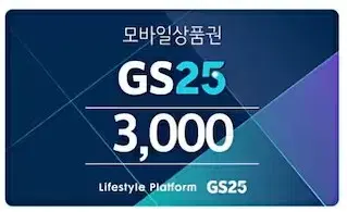 GS상품권 3000