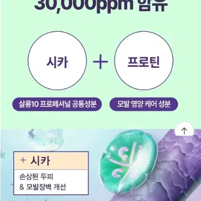 [예약창]미쟝센 살롱10 프로 페셔널 시카 프로틴 트리트먼트 300ml