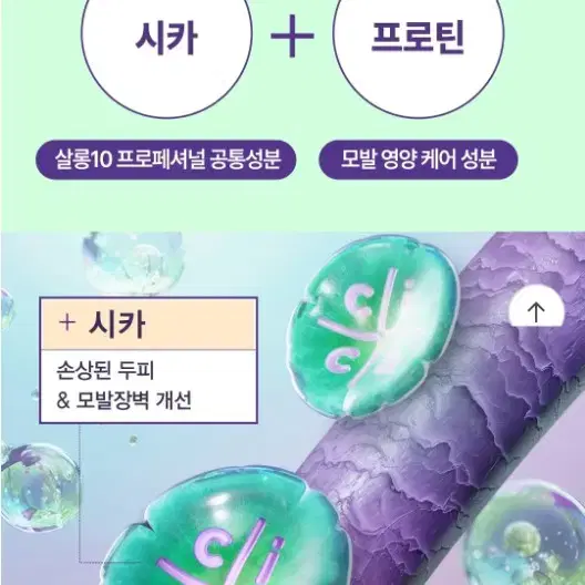 [예약창]미쟝센 살롱10 프로 페셔널 시카 프로틴 트리트먼트 300ml