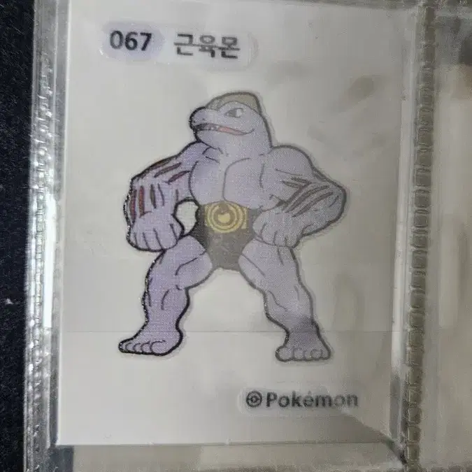 포켓몬 띠부씰 근육몬 팝니다