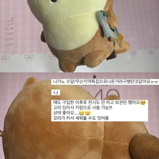 급전 급처 당잉발송 나가노 수달 인형