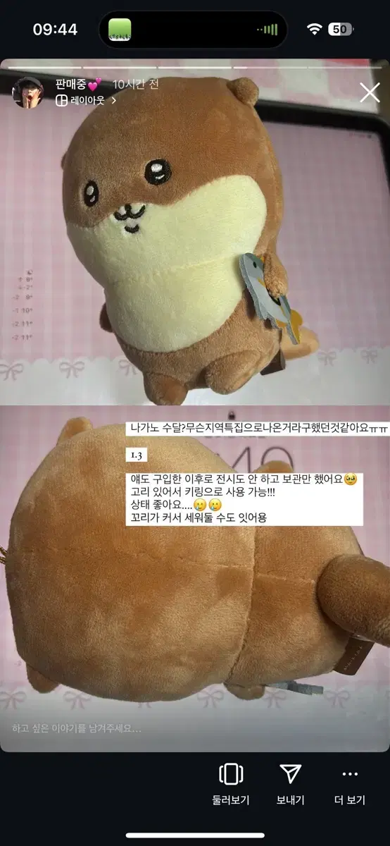 급전 급처 당잉발송 나가노 수달 인형