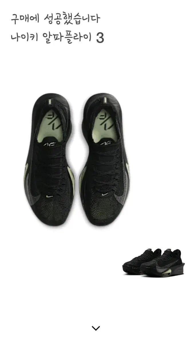 Nike AlphaFly 3 Black New