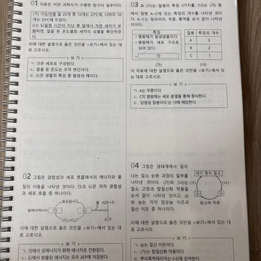 백호 상크스 자료