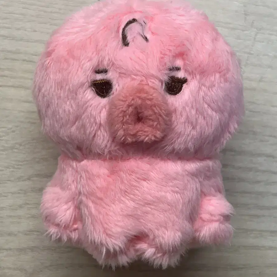 더보이즈 선우 인형 떤코 팔아요