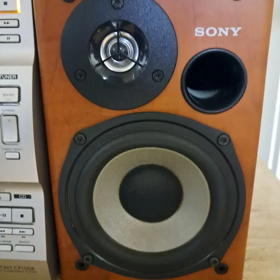 SONY  CMT-CP100 +SS-CCPX11 SPEAKER 오디오