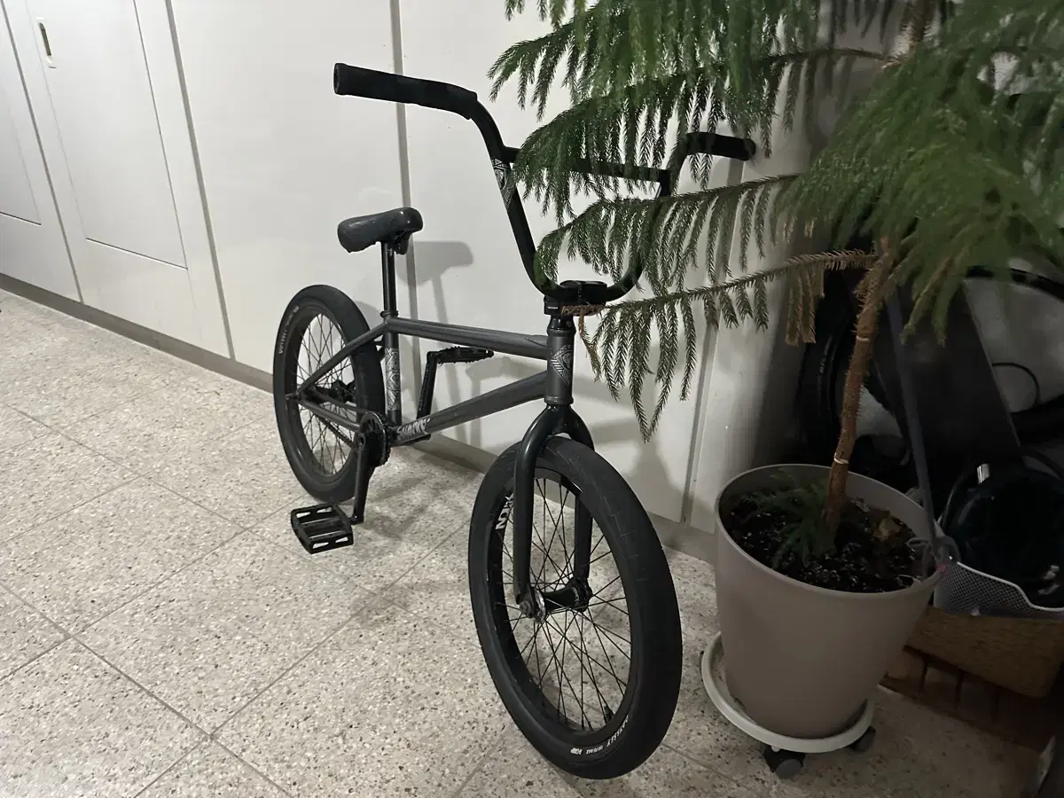 Fly 사바나 BMX