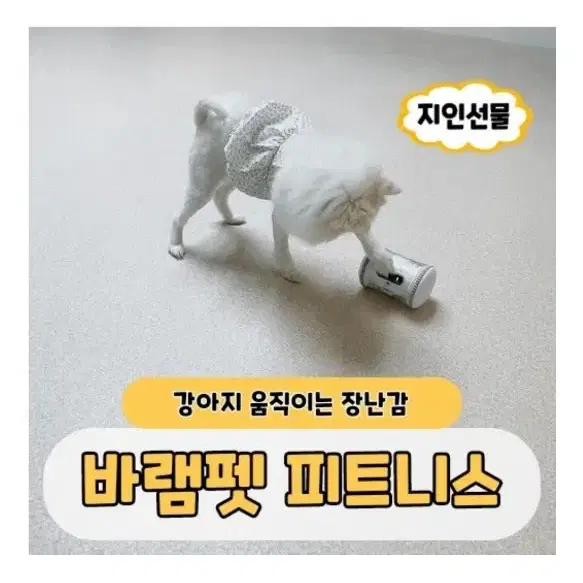 강아지 움직이는 로봇장난감