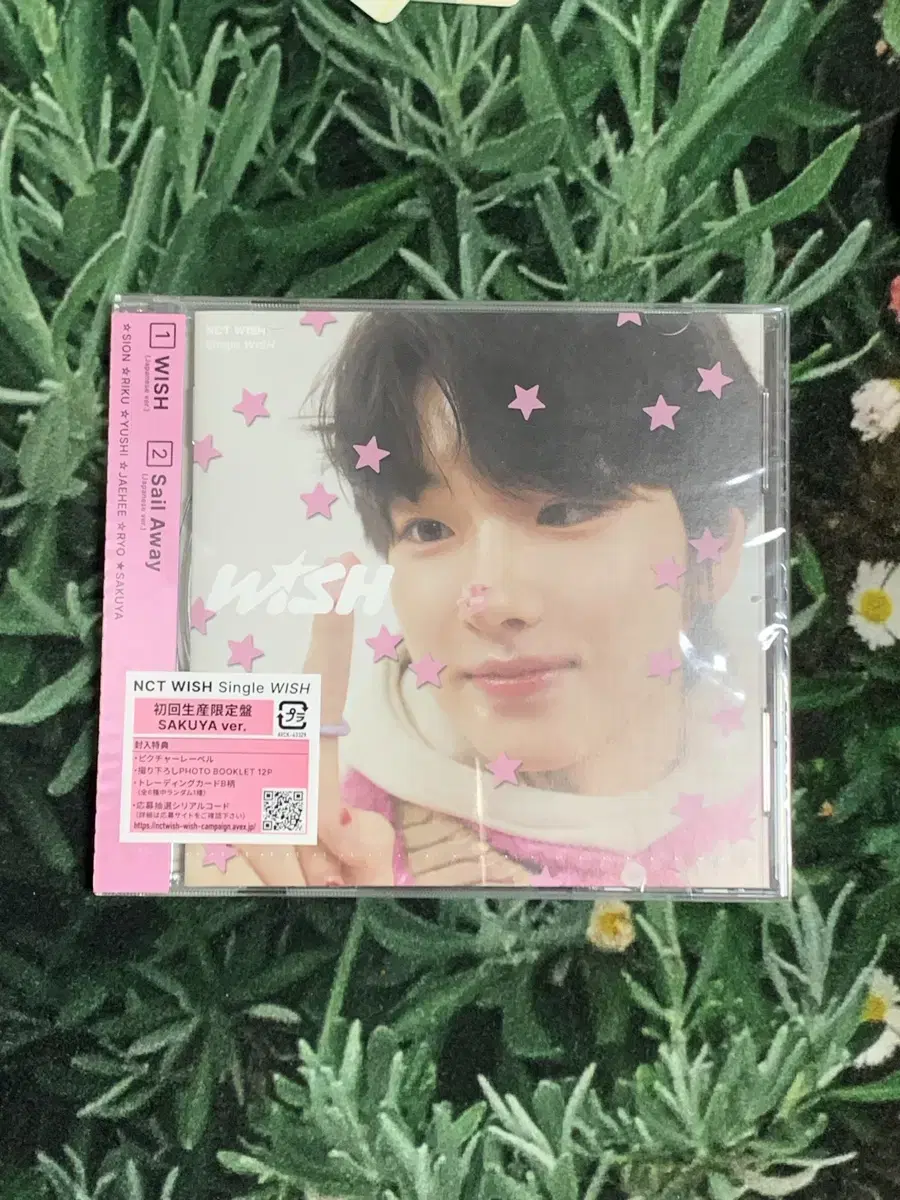 사쿠야 일본반 개인반 wish 데뷔 앨범 cd