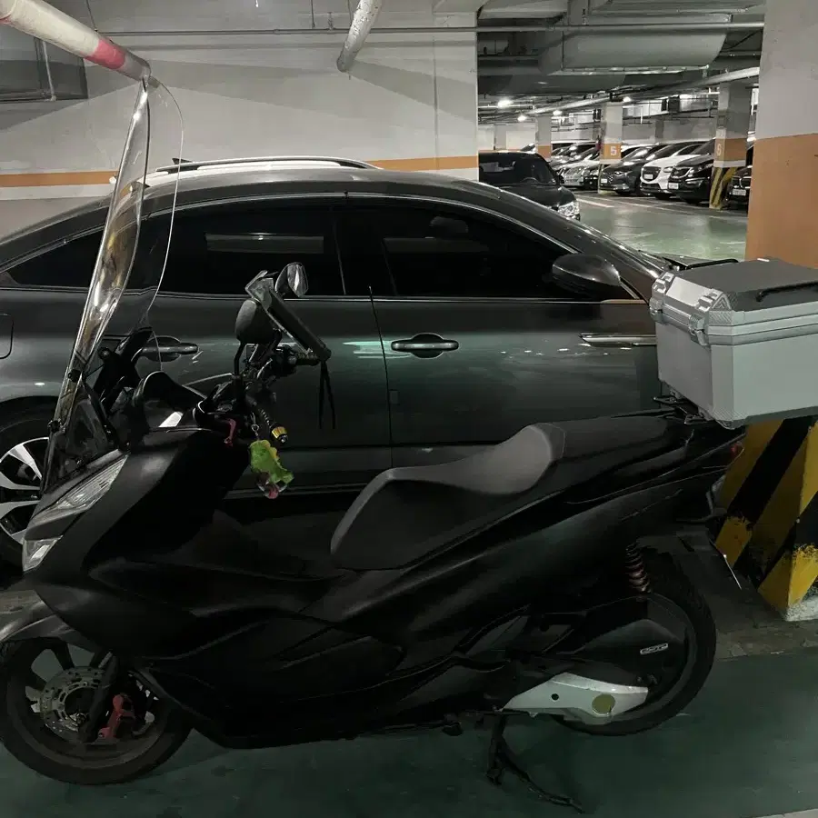 더뉴 pcx125 2019