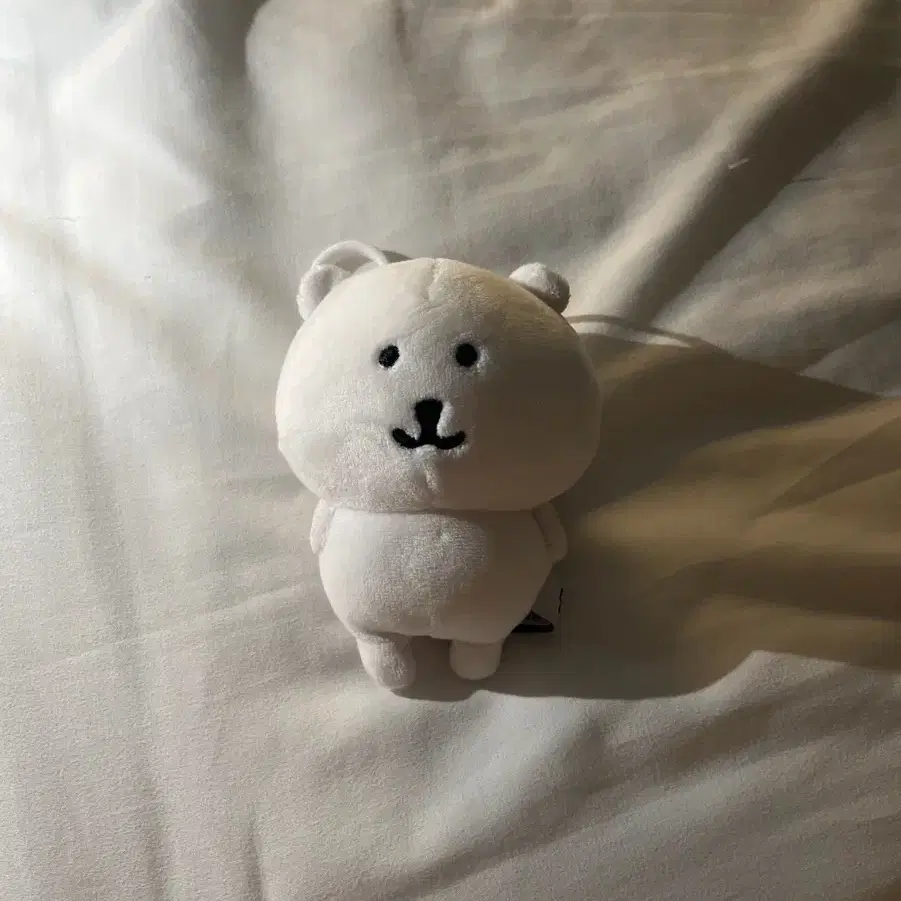 농담곰 인형 팔아요