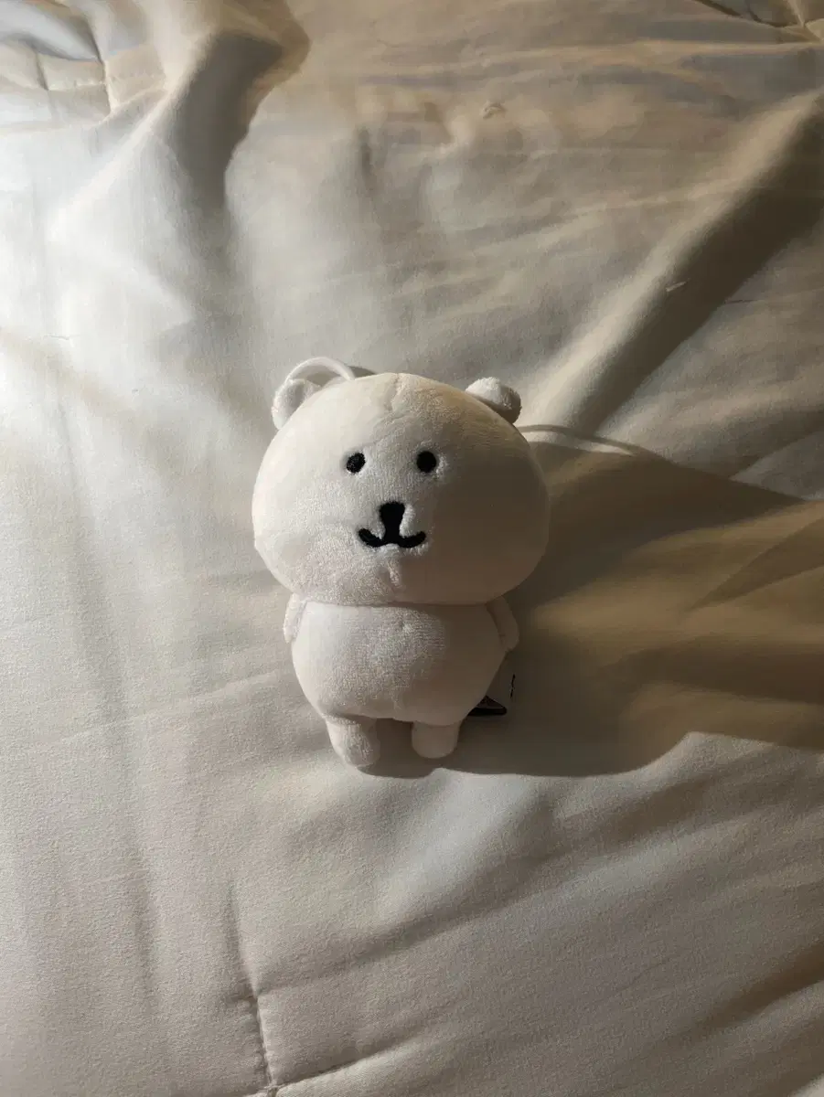 농담곰 인형 팔아요