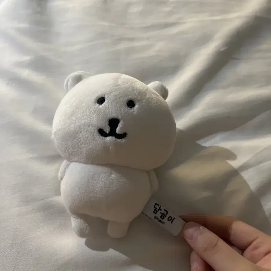 농담곰 인형 팔아요