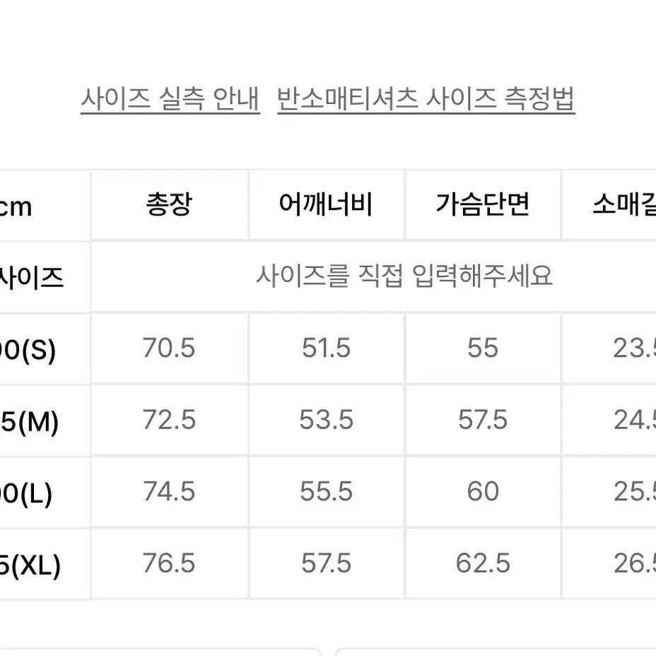 피그먼트 반팔티