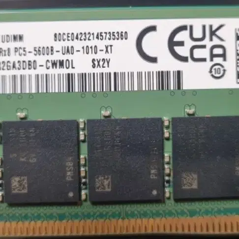 삼성 DDR5 5600B 16GB x2