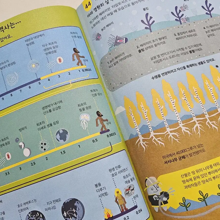 [네고칼차단] 어스본 초등학생이 알아야할 100가지