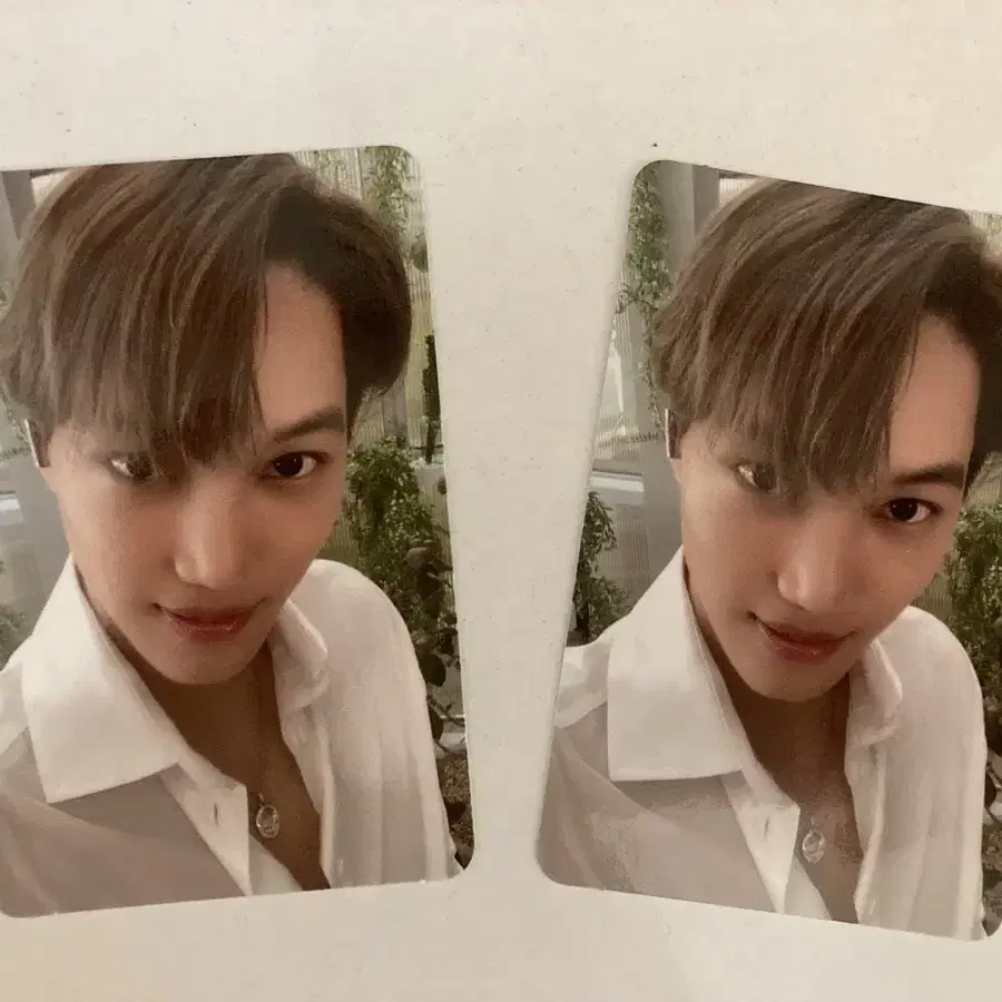 슈퍼엠 카이 포카