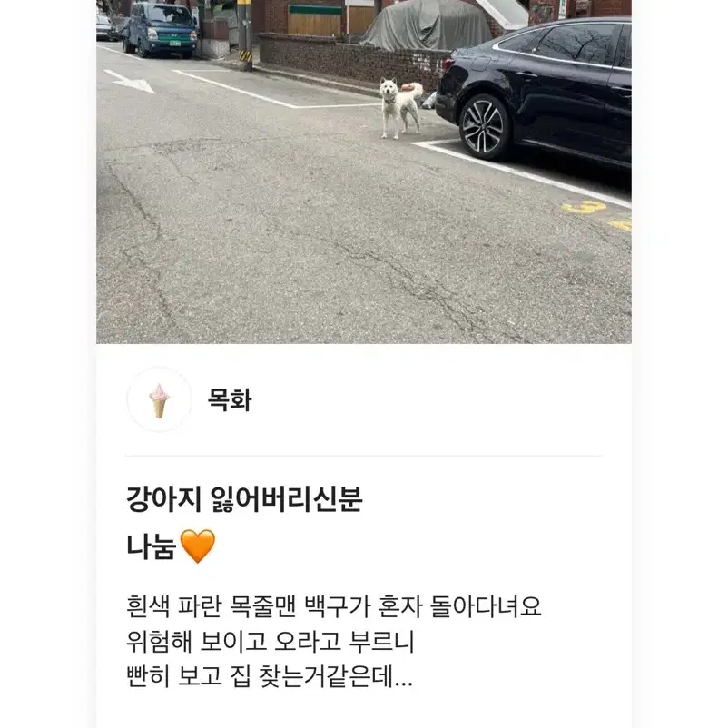 강아지를 찾습니다