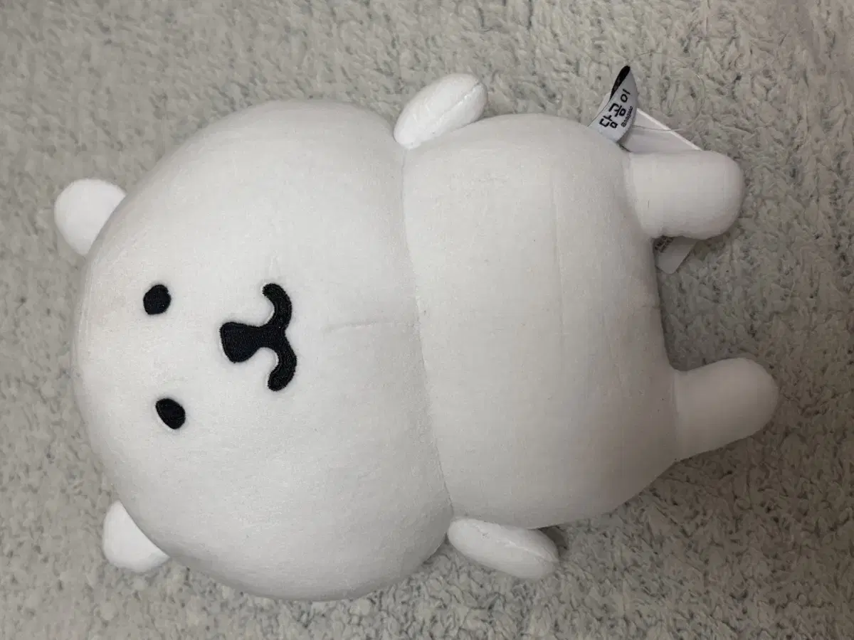 농담곰 인형 판매 30cm