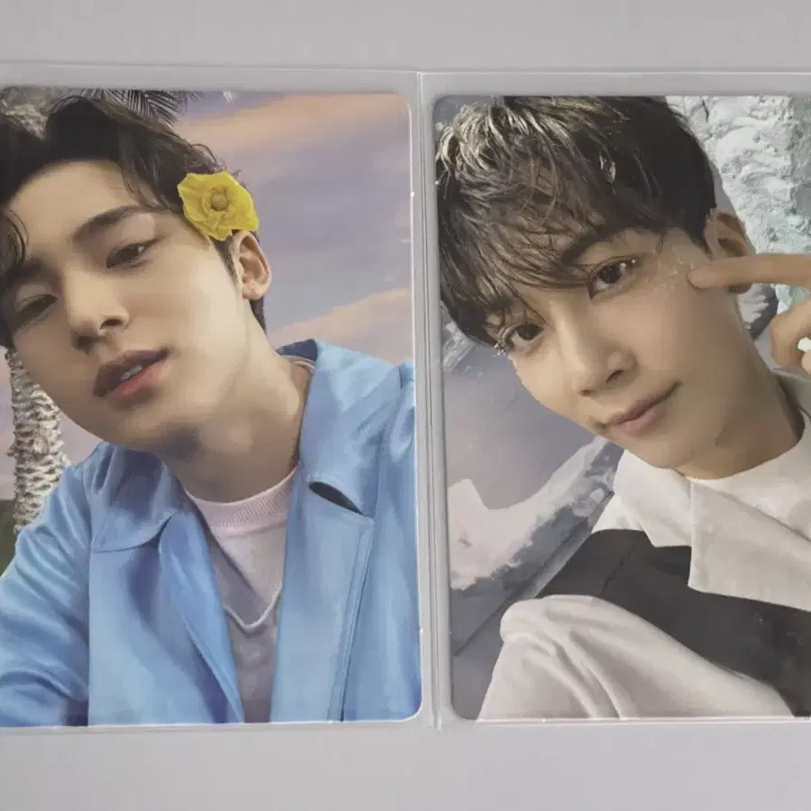 Sector 17 세븐틴 민규, 정한 포카