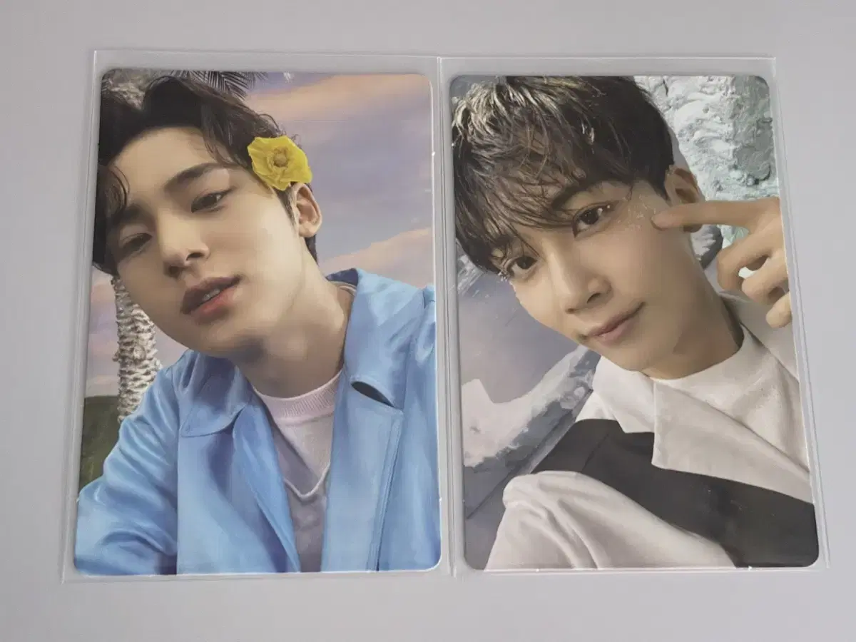 Sector 17 세븐틴 민규, 정한 포카