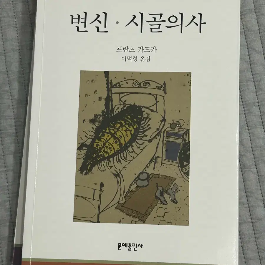 변신 시골의사 문예출판사