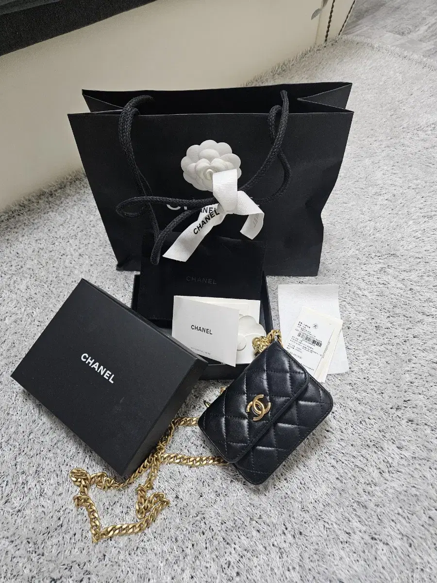 Chanel Small Leather Goods Crossbody Bag