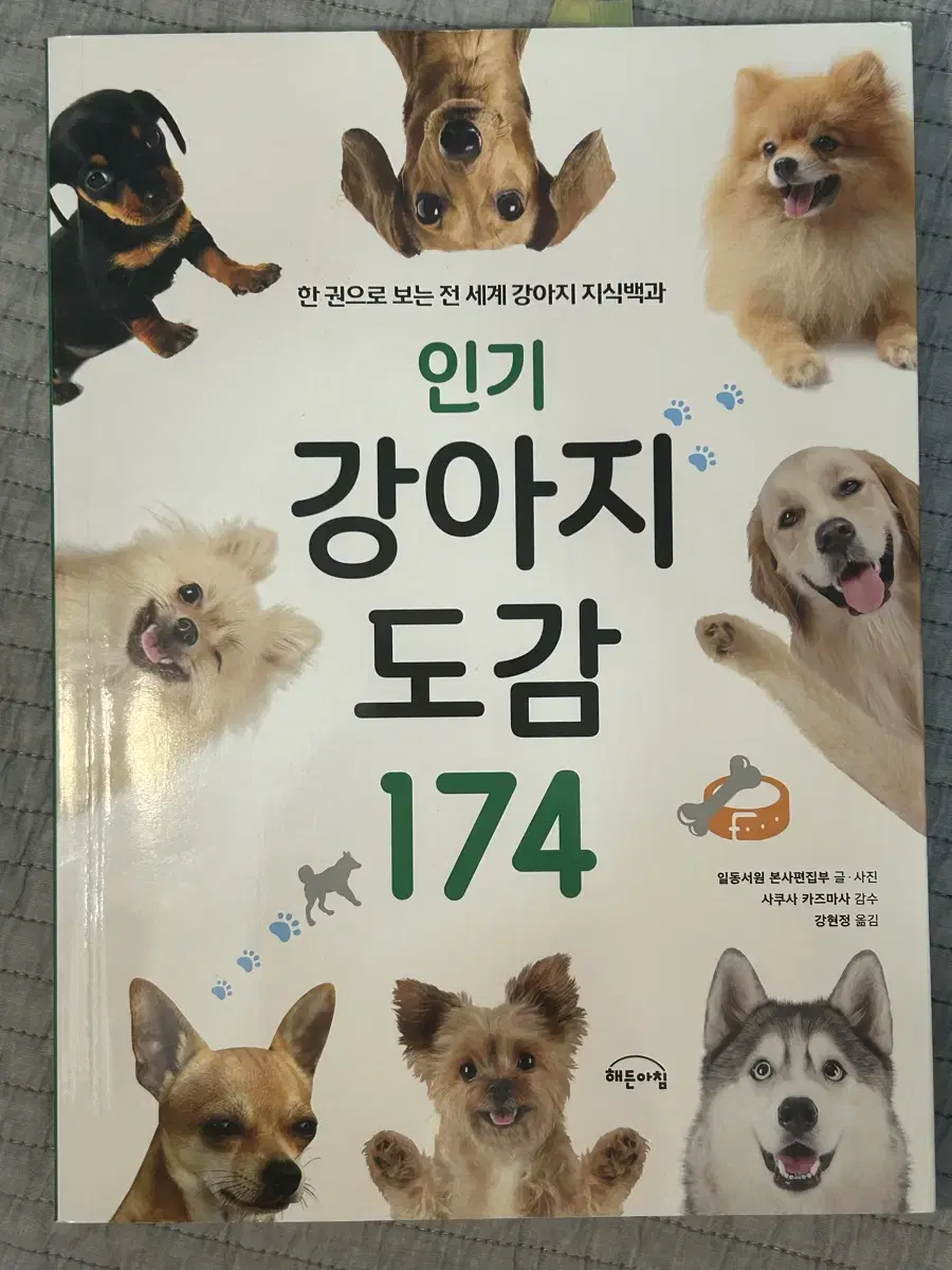 인기 강아지 도감 174