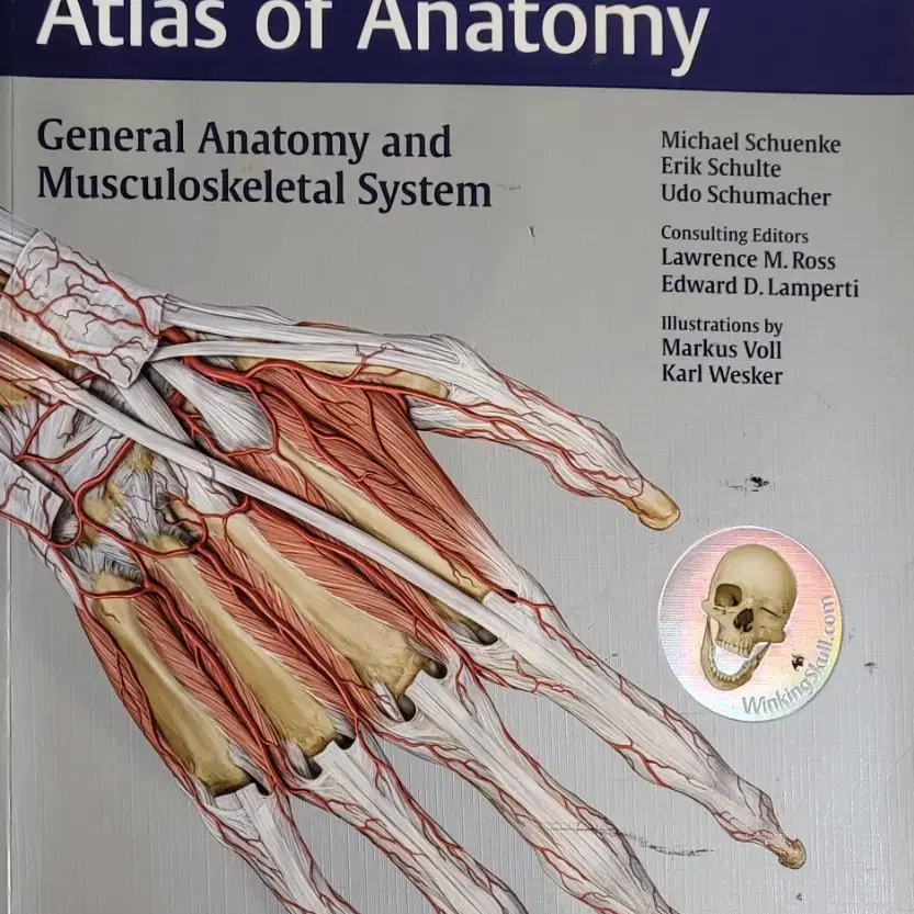 thieme atlas of anatomy