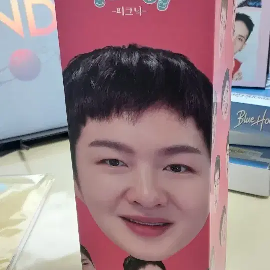 이창섭 상스러운 발상 피크닉매트