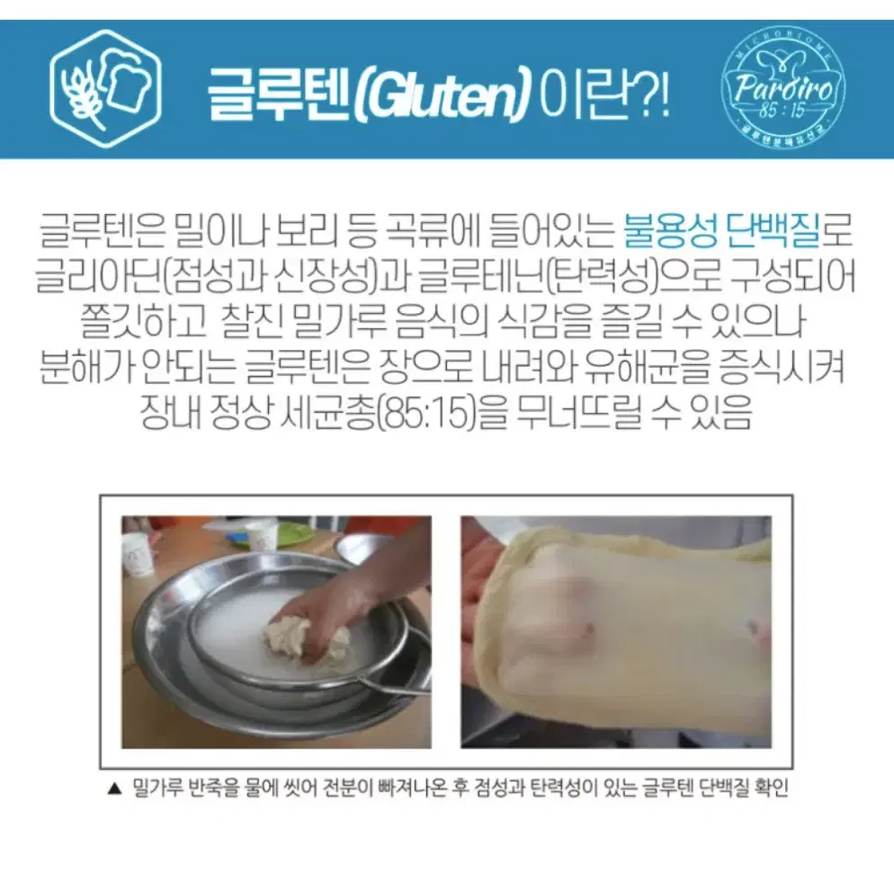 마이크로바이옴 글루텐 쿡 유산균