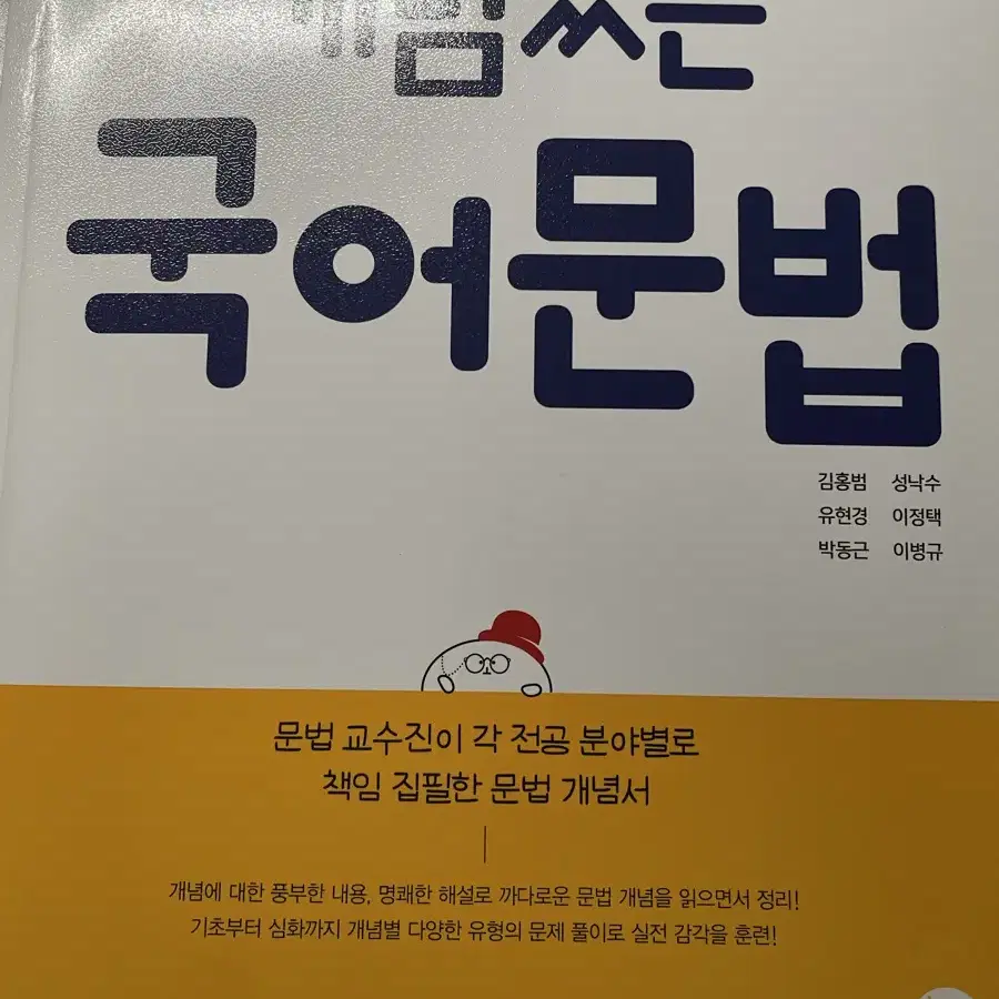 개념의 나비효과, 워크북, 개념있는 국어 문법, 신발끈 등