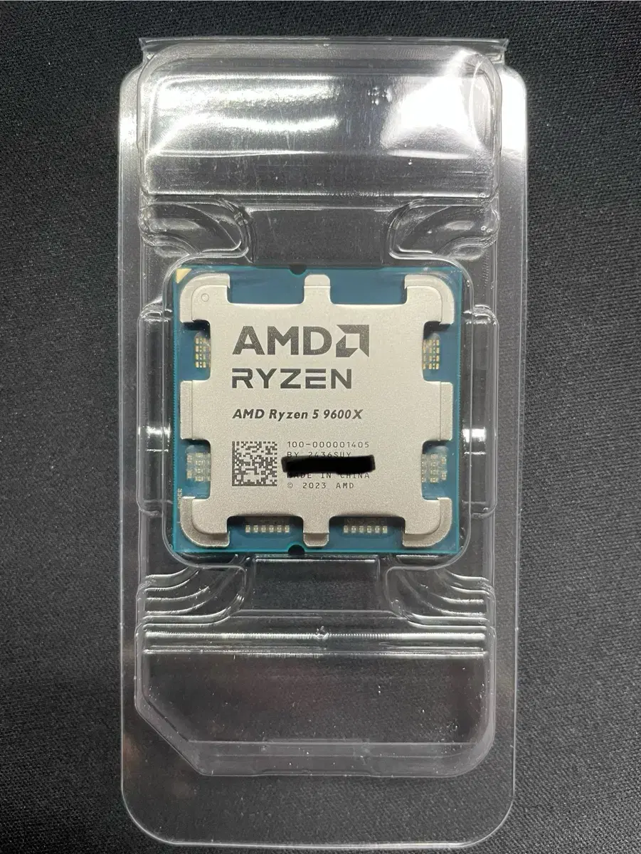 AMD Ryzen 5 9600X