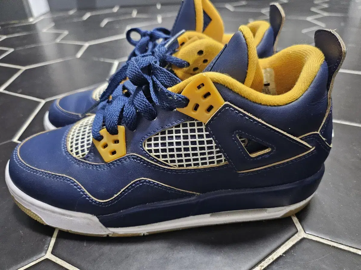 Nike Jordan 4 Dunk from Above 225