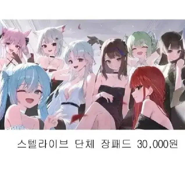 충전형님 장패드