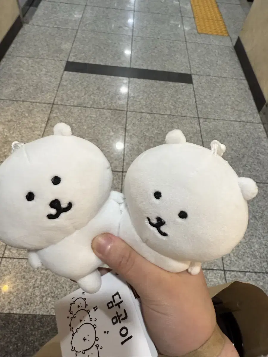 농담곰 인형