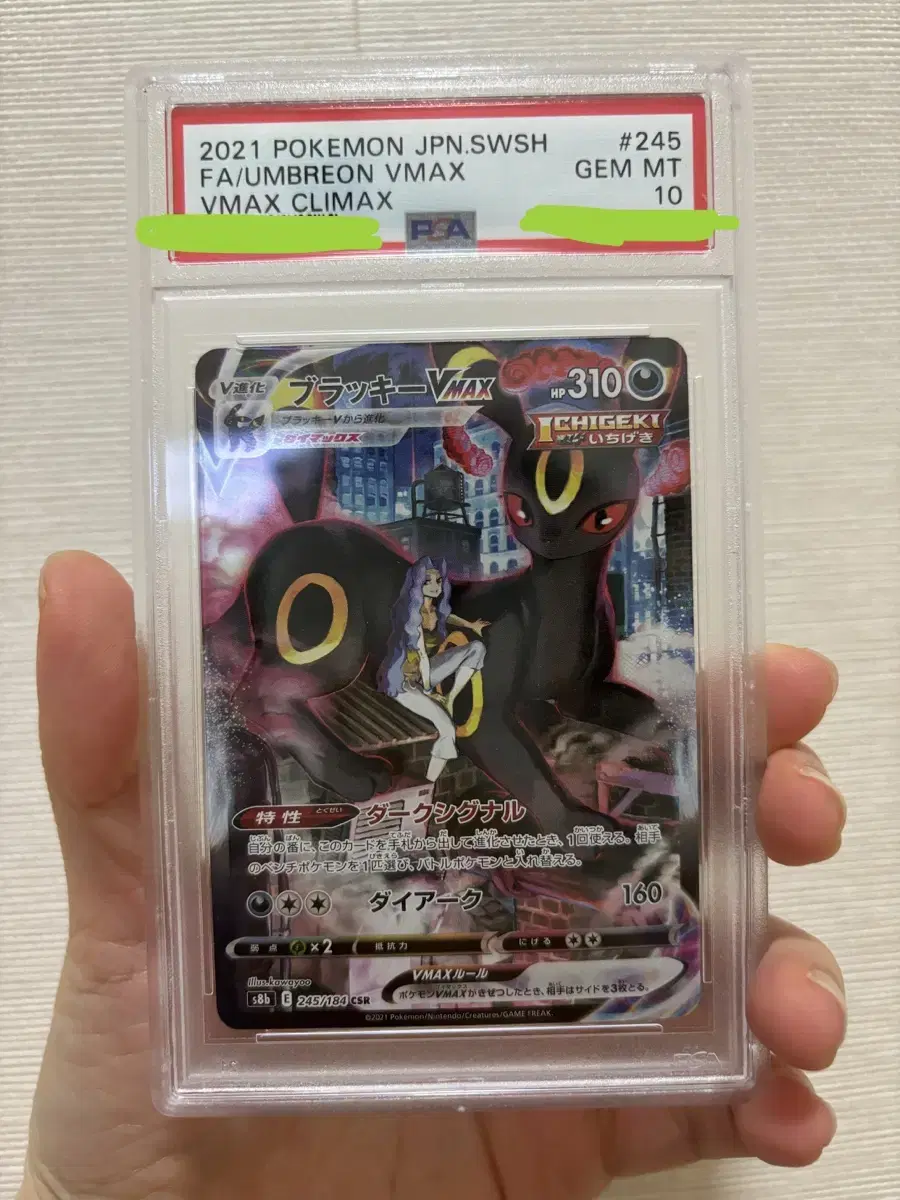 포켓몬 카드 PSA 10 GEM MINT 블래키 브이맥스 (가렌 도 있음