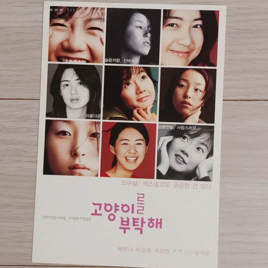 이요원 배두나 옥지영 고양이를부탁해(2001년)엽서