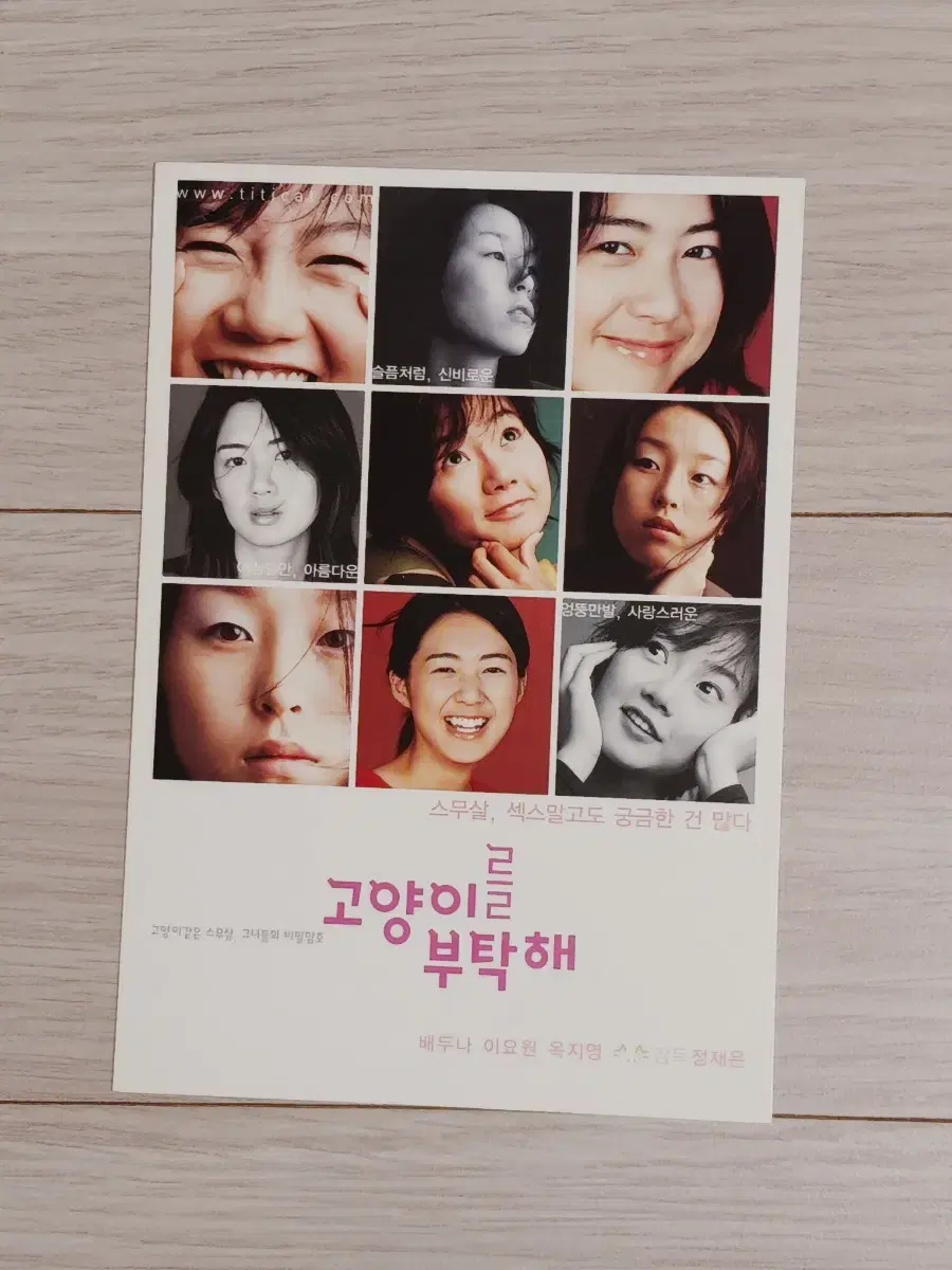 이요원 배두나 옥지영 고양이를부탁해(2001년)엽서