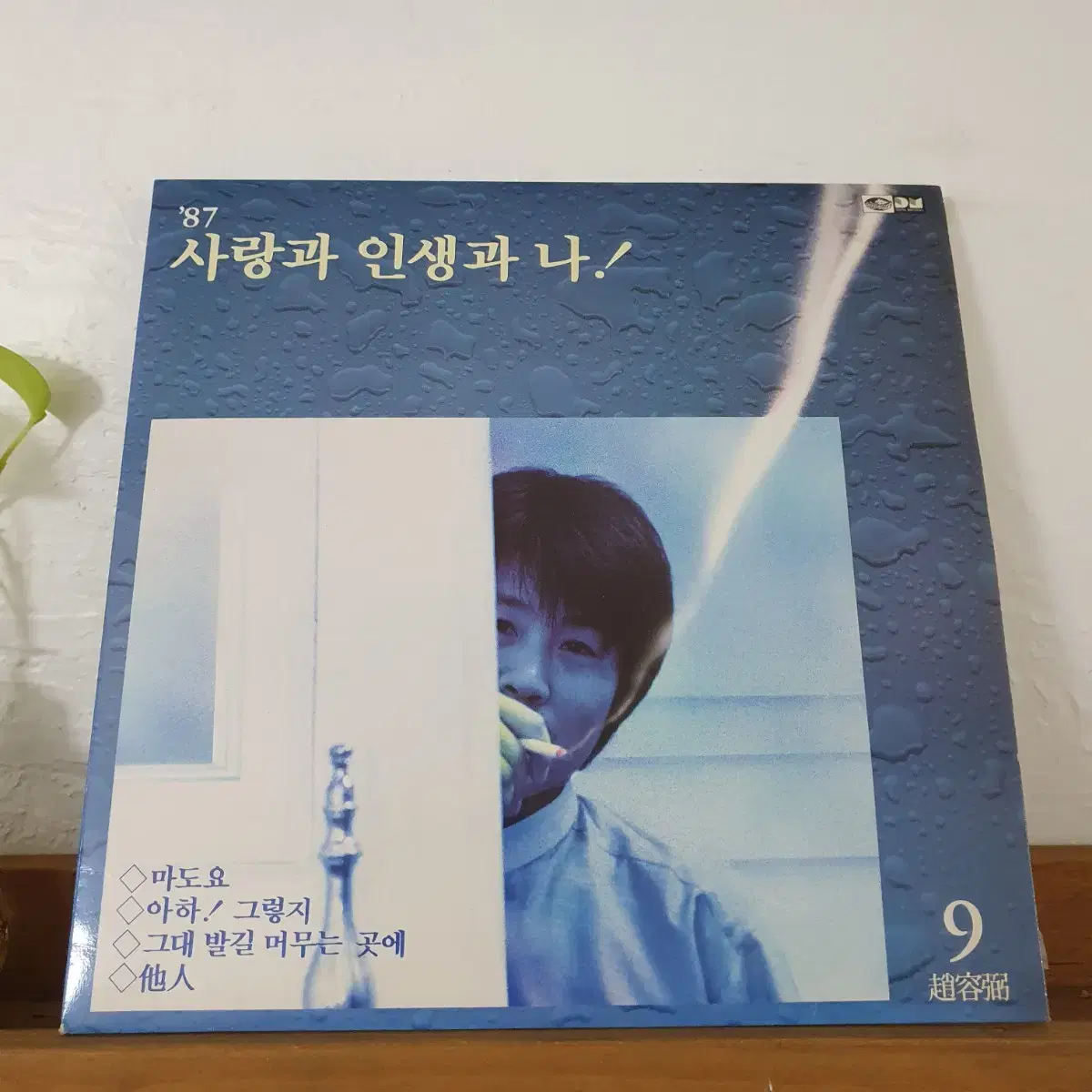 조용필9집 LP  1987   마도요  그대발길머무는곳에