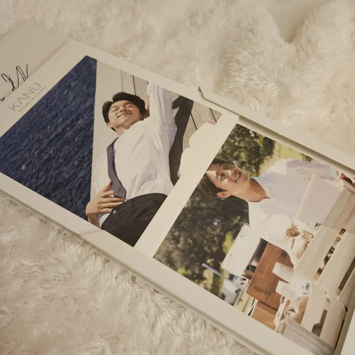 Shared Canoe Postcard Set Goods