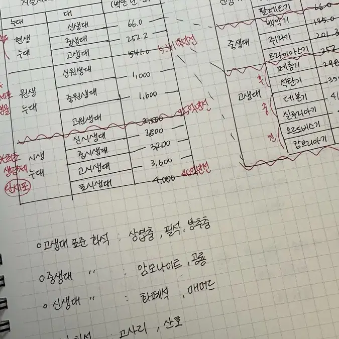 메가스터디 오지훈 oz 개념