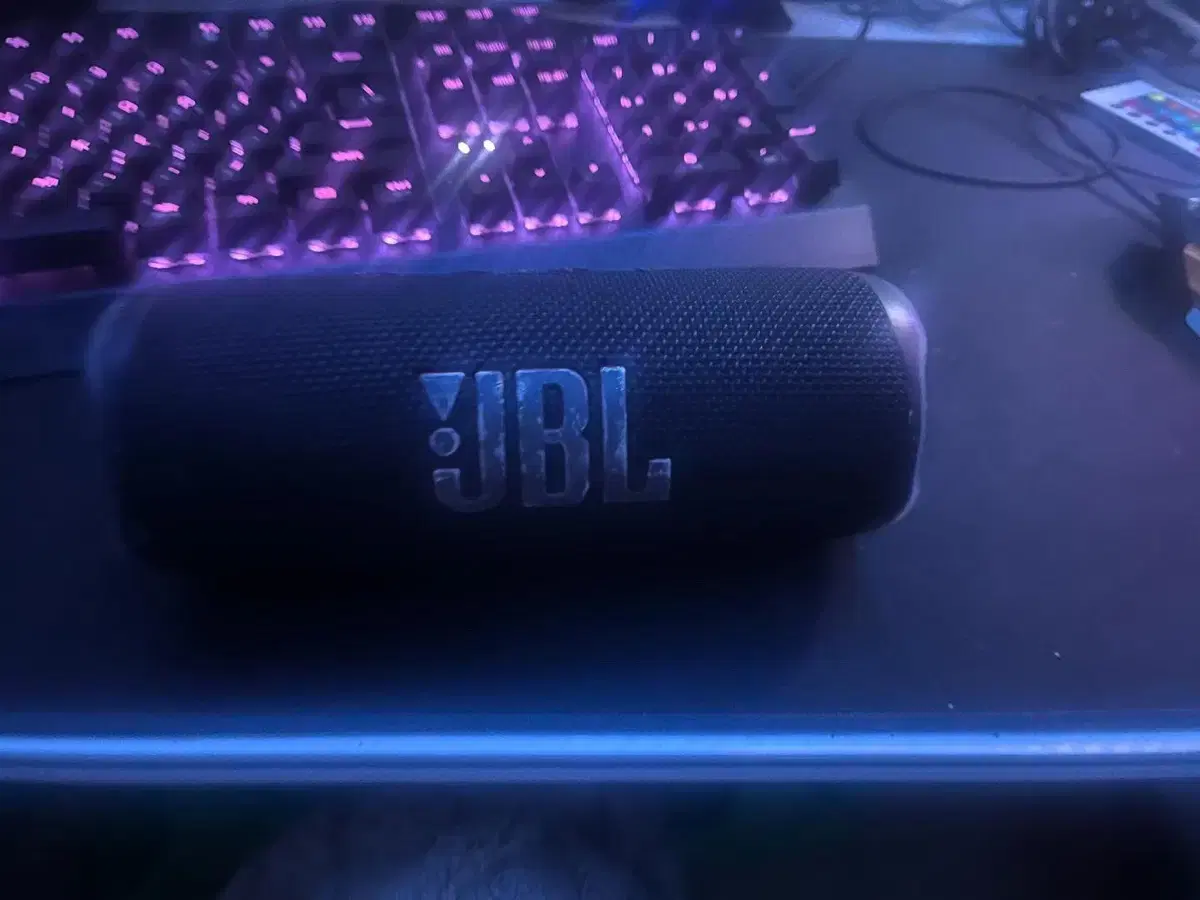 JBL 플립6