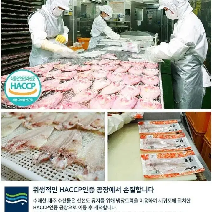 [네이버최저가보다저렴] 제주직송특산물세트 옥돔,고등어,갈치,참굴비