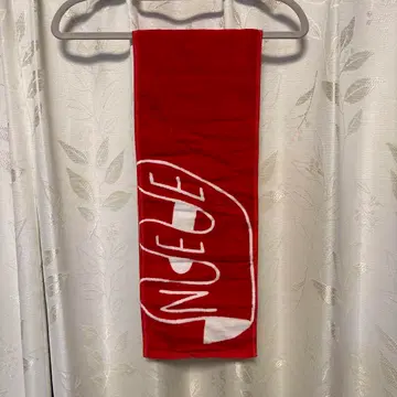 NEE 승리의 쟈케에 타월