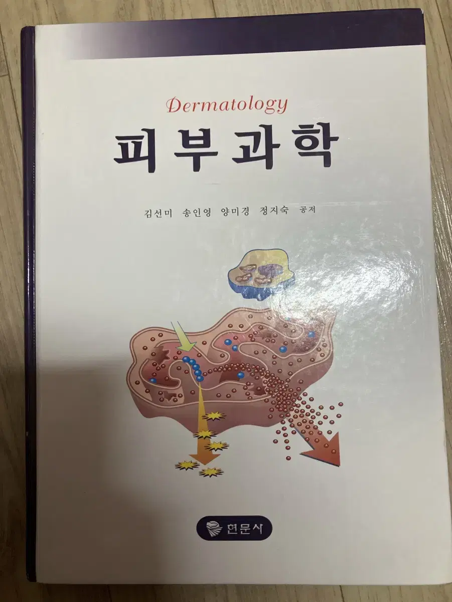 피부과학(한문사)